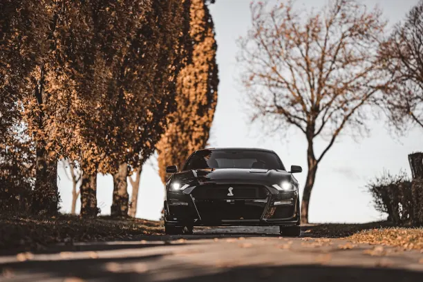 Casino Lion Wins Android/iOS App